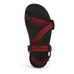 Men's Xero Shoes Z-Trail EV Sandal -BROOKS Shoes Shop 4zkbrc1rb3