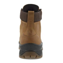 Men's Ecco Track 25 High Plain Toe -BROOKS Shoes Shop bnan1chluy