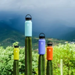 Hydro Flask 32 Ounce Wide Mouth Bottle -BROOKS Shoes Shop c0rztgzuru